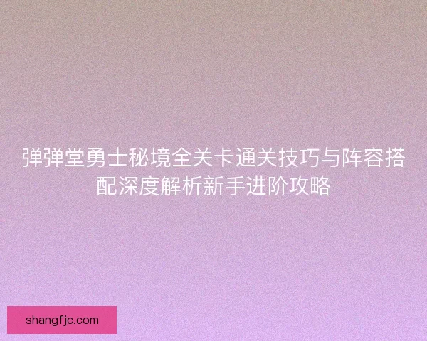 弹弹堂勇士秘境全关卡通关技巧与阵容搭配深度解析新手进阶攻略